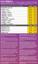 Load image into Gallery viewer, MTOR ULTRA MPS + ELECTROLYTES